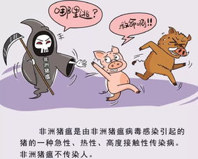 海南啟動(dòng)非洲豬瘟防控應(yīng)急響應(yīng)機(jī)制，保障畜禽市場(chǎng)平穩(wěn)，同步強(qiáng)化水產(chǎn)養(yǎng)殖安全管理
